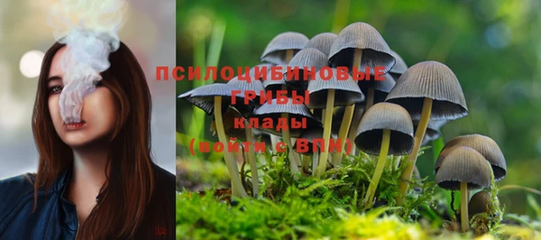 не бодяженный Армянск