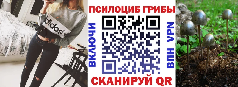 Псилоцибиновые грибы мицелий  МЕГА как зайти  Ахтубинск  как найти наркотики 